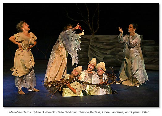 Caldron and witches Macbeth 2011 - Marin Shakespeare